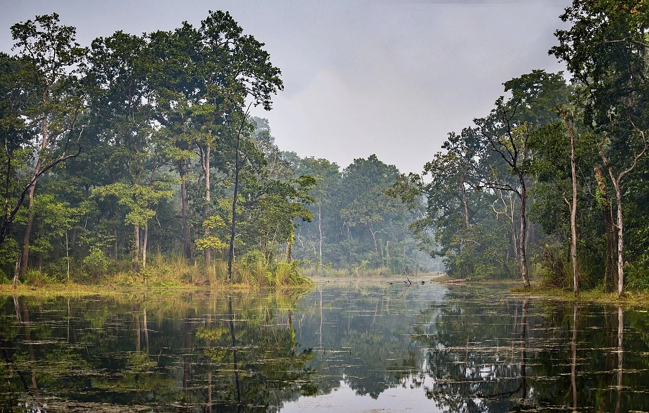 Chitwan National Park Tour: An Ultimate Wildlife Adventure